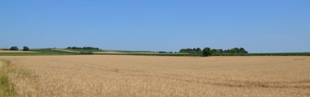 Rendezvousberg – Alte Schanzen – Herrenholz