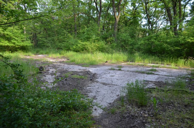 Herrenholz Betonboden