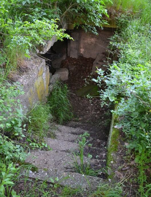 Herrenholz Splittergraben Abgang
